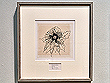 Sarah Bennett: Plant Seizure Drawing 1