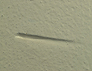 Wall-wound (found) ERRN-1