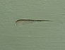Wall-wound (fabricated) no. 683